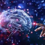 Neuroplasticità-la-capacità-del-cervello-di-modificarsi-in-base-alle-esperienze-3-680x365