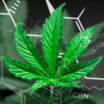 A beautiful sheet of cannabis marijuana in the defocus with the image of the formula THC CBD CBN abstract