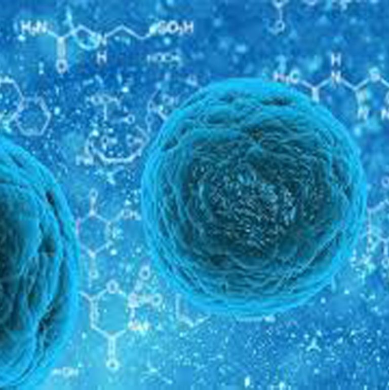 Nuovi risultati riguardanti il funzionamento dell’endosoma endosomi