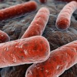 come-si-trasmette-tubercolosi-contagio-sintomi-cure