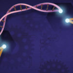 CREATOR: gd-jpeg v1.0 (using IJG JPEG v62), quality = 100