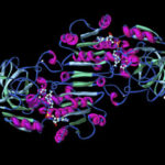 deidrogenasi-alcolica-240x240
