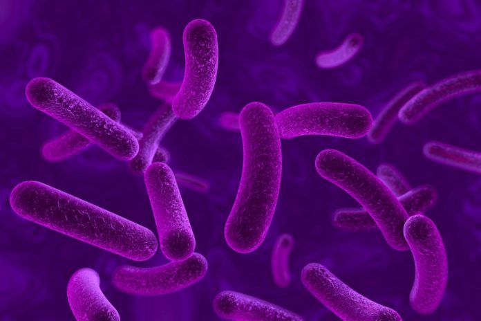 Bacteria on colourful background, 3D illustration