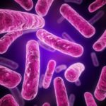 6a00d83451b96069e20120a861b7ea970b