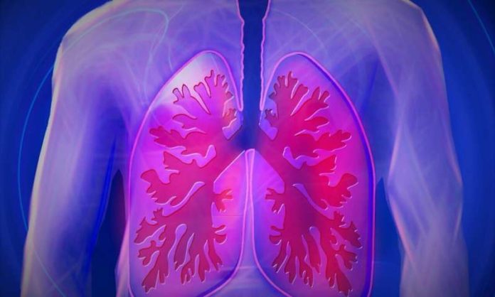 lung