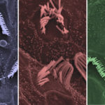 nature medicine image v4