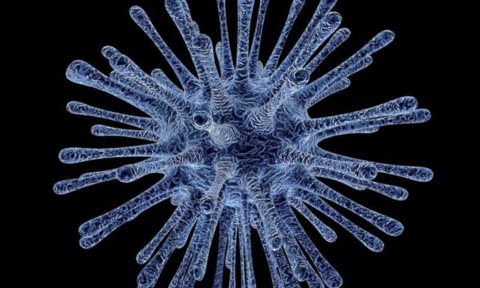 virus
