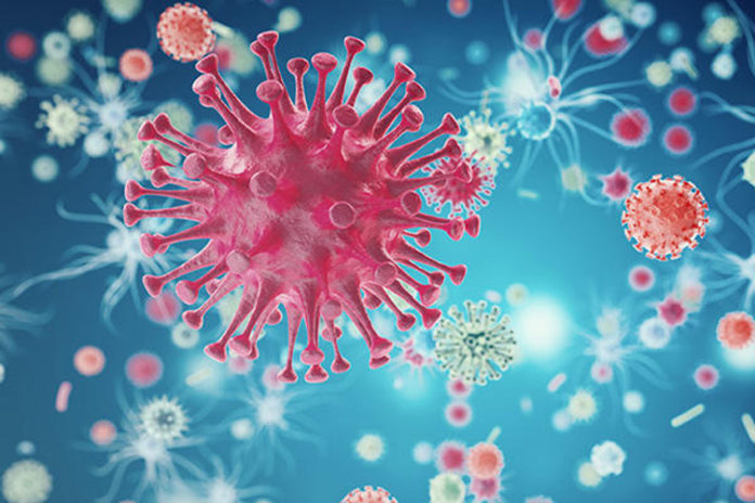 bacteria virus or germs microorganism cells. 3d rendering