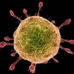 6u5vVepaitefgKnzAaX2G7-970-80