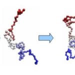 Protein-folding-schematic-representation-Under-the-folding-process-the.png