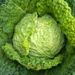 cavolo-696x496