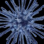 virus