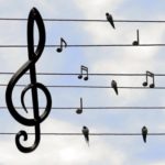 C_17_notizie_4286_0_immagine