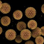 TTbfYshmTAkJuA3jaqS4DX-650-80