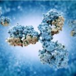 anticorpo-kzBB-RpzCS2FAp7L357YXIGfZt9J-590x445@Corriere-Web-Sezioni