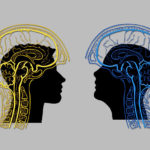 brain-muscle-decline-neuroscneineww-public