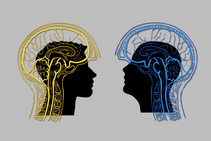 brain-muscle-decline-neuroscneineww-public