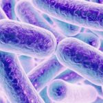 gut-bacteria-concept-illustration