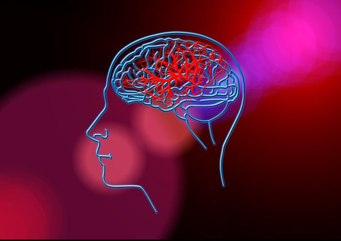 lipids-chemo-brain-myelin-neuroscineews-public