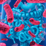 microbiota-intestino