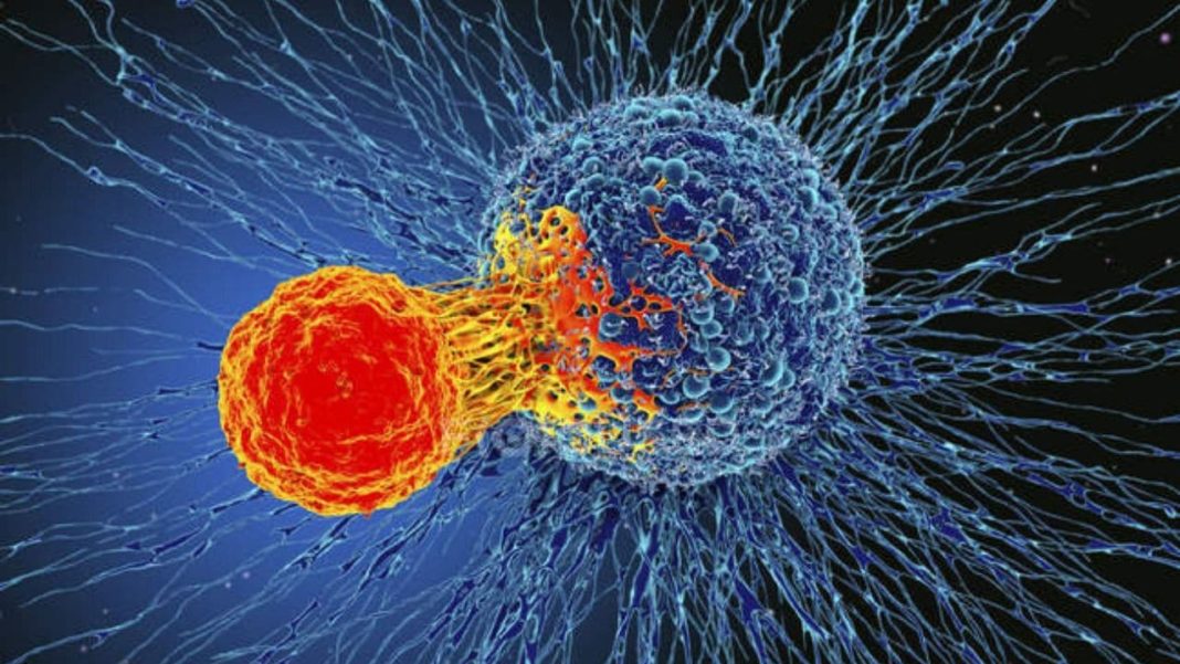 Tumore E Cancro Sono La Stessa Cosa