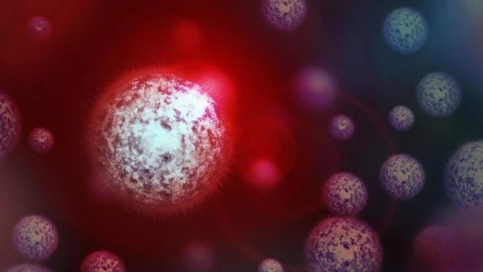 Virus-Brasile-1280x720