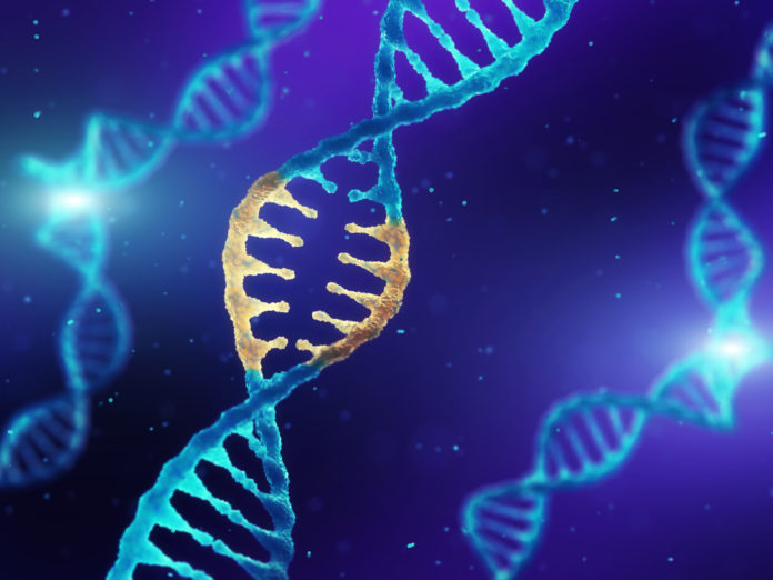 a336a40d-d86f-4ebd-a12d-2d911218c358_shutterstock_1116935723