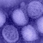 h1n1_influenza_virus