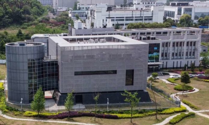 thewuhaninst