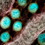 051520_eg_cell-coronavirus_feat-1028x579