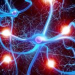 170417148-db632c06-05a2-4abb-93c0-16ee02226546