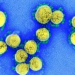 49645120251_ee9b0312bc_h1