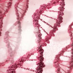 ING_19061_101848-753x500