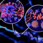 alzheimer-tau_thumb_420_280