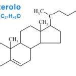 colesterolo-struttura-chimica
