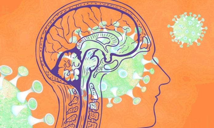 covid19-brain-neuroscienerws-public