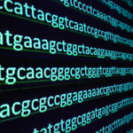 Sequencing the gene.