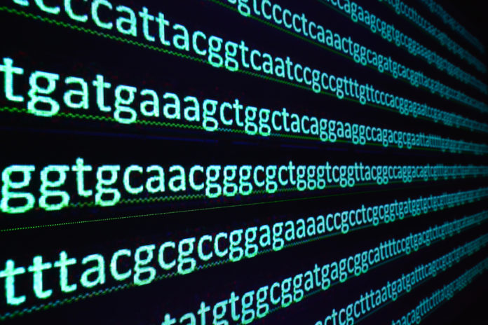Sequencing the gene.