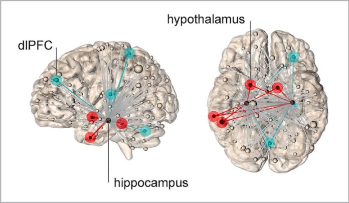 neural-home-stress-neurosceinws