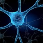 neurone-1024x684