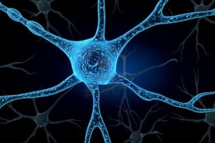 neurone-1024x684