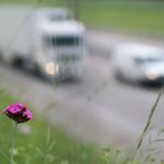 parkinsons-diesel-fuel-neurosicneews-public-1229x830