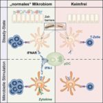 themicrobiom