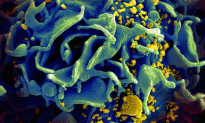 1-hiv