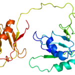 Protein_PTBP1_PDB_1qm9