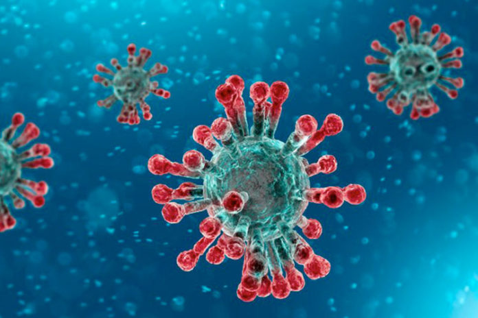 damiano-galimberti-coronavirus-covid-19