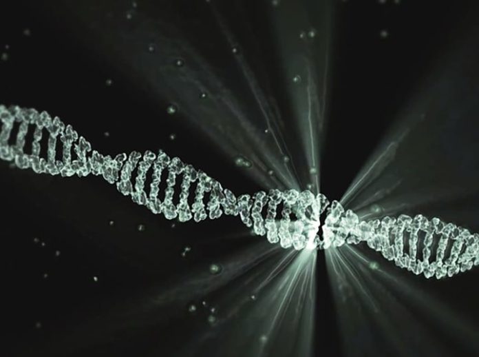 dna-project-lumina-walter-waymann-720x536