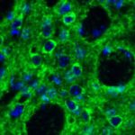 3f3570a2c3a9535e227237610571d912