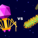 Bacteriaphage_vs_bacterium-720x405