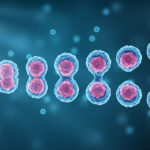 Stem cells division of the human body, microscope view. Research of Embryonic cells. Cellular therapy and regeneration. Mitosis and Meiosis 3D scientific illustration.